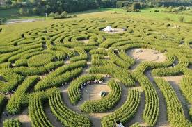 Le labyrinthe de Barvaux